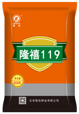 隆禧119